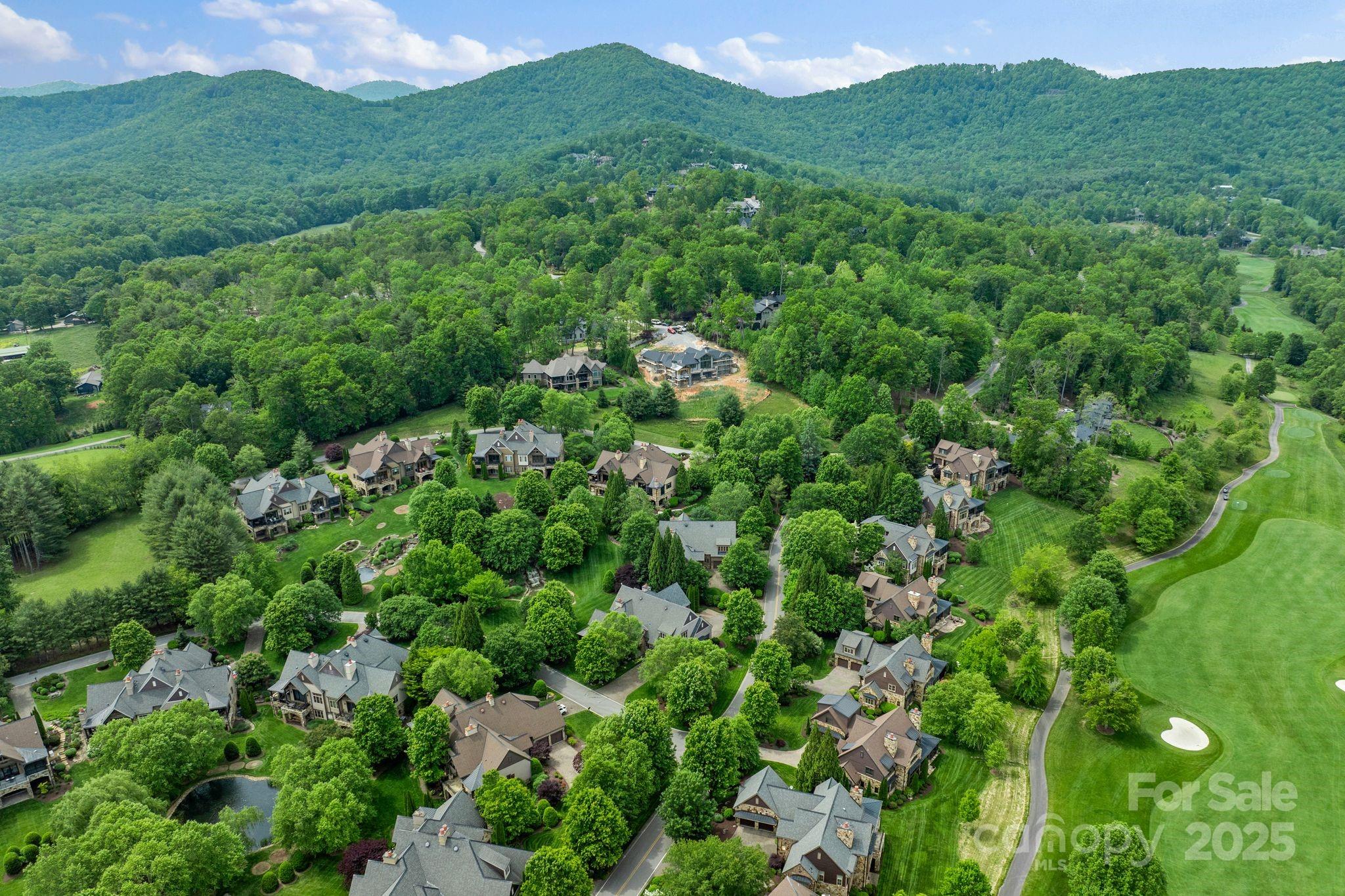 The Cliffs at Walnut Cove - Residential