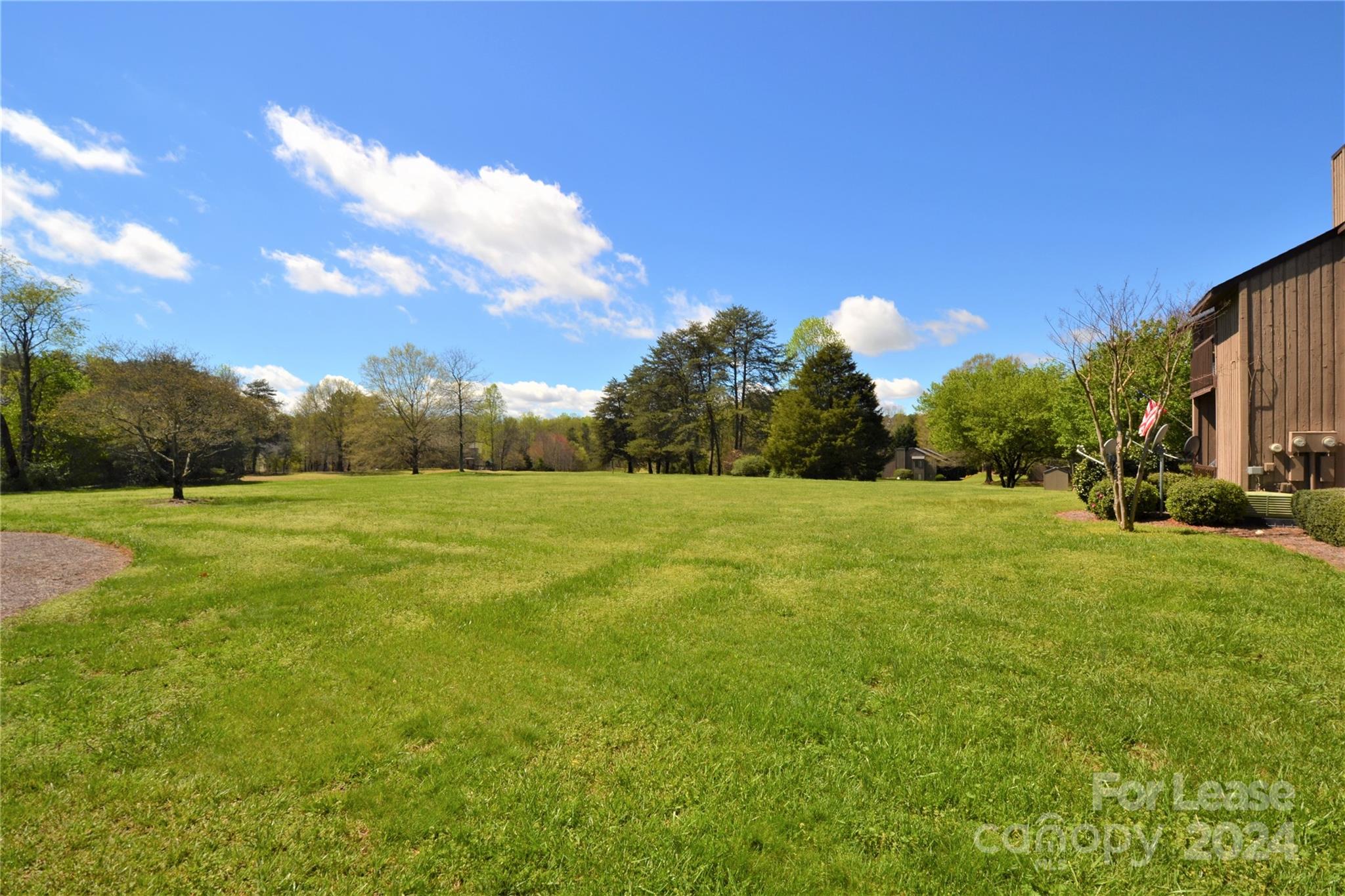 None - Residential Lease