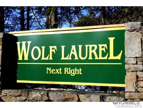 Wolf Laurel - Land
