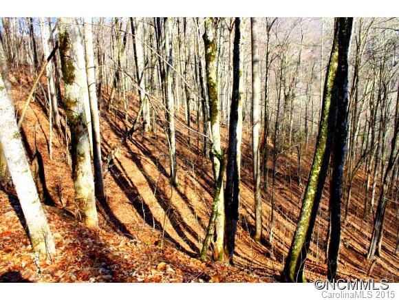 Wolf Laurel - Land