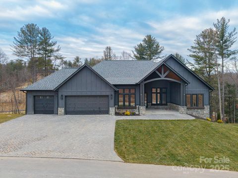 132 Sunridge Avenue Horse Shoe NC 28742