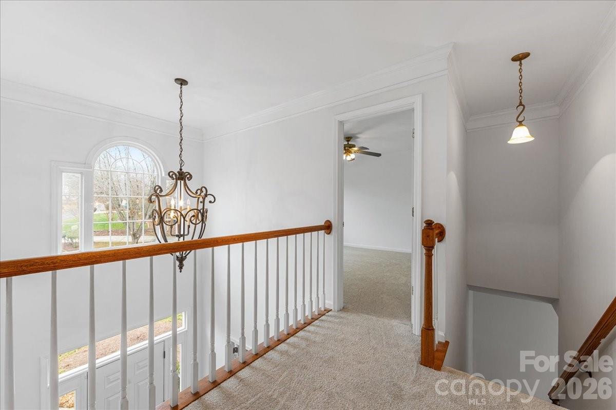 Belle Meade - Residential