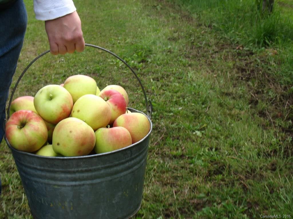 Old Distillery Estates - Residential