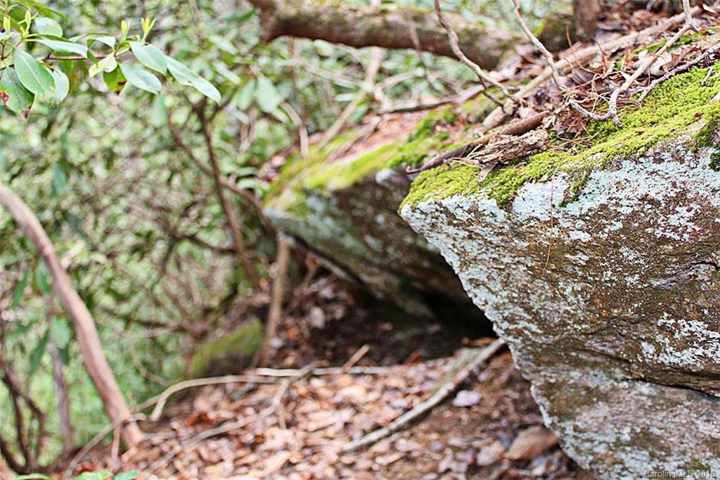 Old Distillery Estates - Residential