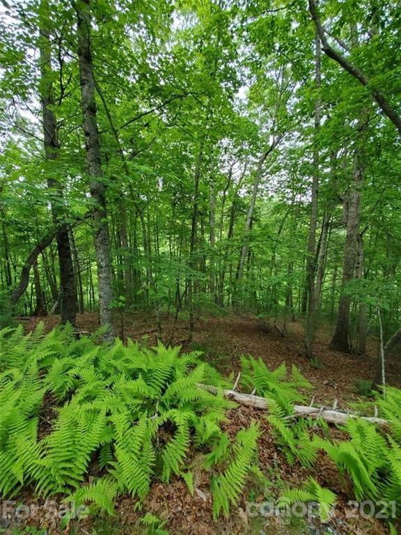 141 River Club Trail 8