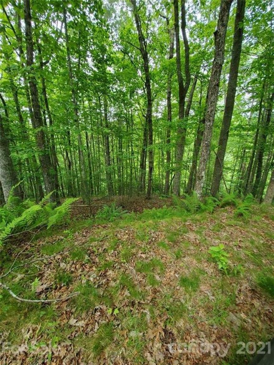 This is the perfect 4+ acre lot to build your cabin in the woods! With an easy build site, lot 8 is one of the largest pieces of property in FBC! If you're looking to build your dream mountain home or vacation getaway, look no further. French Broad Crossing is a gated conservation community with easy access to Asheville and amenities galore! Enjoy the River Lodge, Fitness Center, Pool, River Park, Treehouse, and miles of walking/ATV trails! Relax and watch the sunset from the River Lodge, gather with family and friends by the fire, or just absorb nature on the trails. This is THE place to check out of the daily hustle and bustle and take a deep breath! Fiber Optic cable has also been wired throughout the neighborhood. FBC has a designated medical helicopter landing zone.