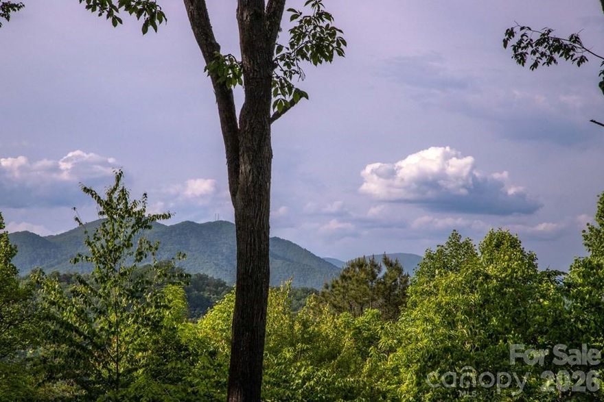 Exceptional Mountain Living: Views, Luxury, and Location Discover the perfect blend of modern elegance and mountain charm with this stunning 2-bedroom, 2-bath property. Whether you are seeking a high-performing investment for the vacation rental market or a serene full-time residence, this home delivers on every front.