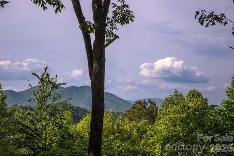 Photo of 339 Honey Locust Trail #9, Whittier, NC 28789 (MLS # 4372752)