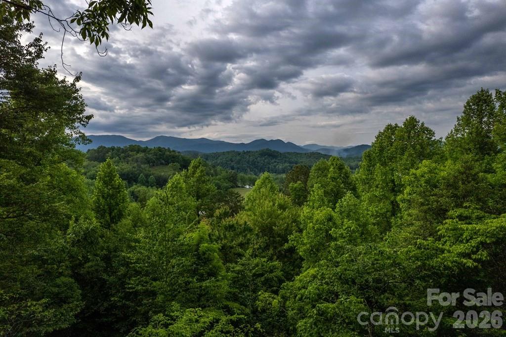 Honey Locust Estates - Residential