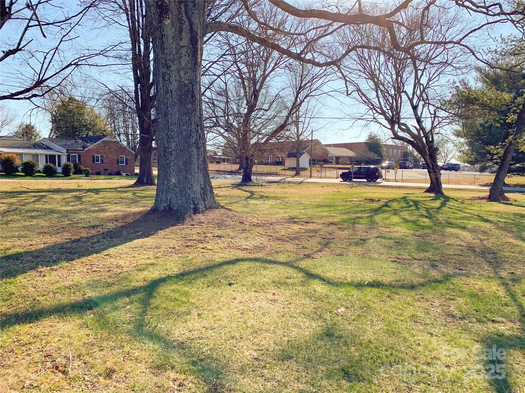 176 Travis Loop