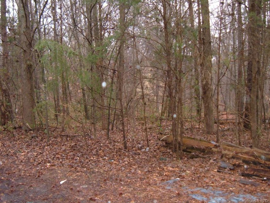 Mobile Home and Modular Home allowed. 1 acre lot. 2 Bedroom septic in place. No water or electricity on property. 20 foot access easement to property see plat map in documents. Property SOLD AS IS