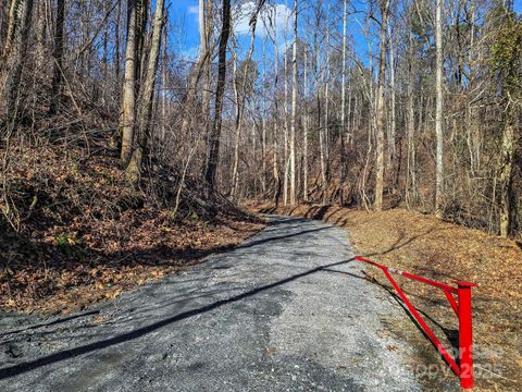 6617 Green River Cove Road Saluda NC 28773