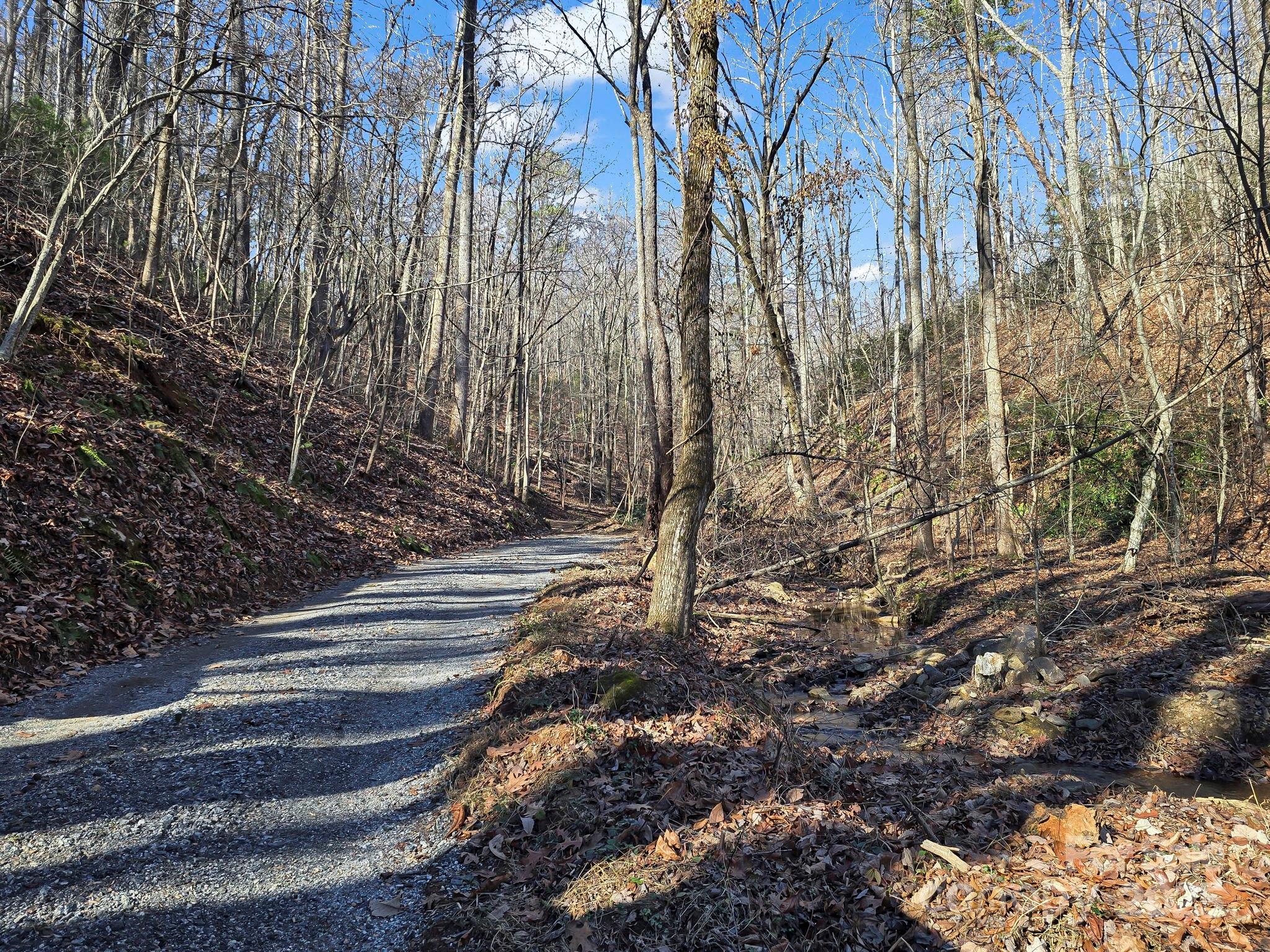 6617 Green River Cove Road