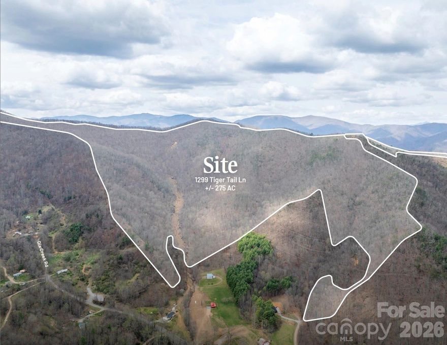 Rare opportunity to acquire a +/- 275 AC mountain assemblage in Western North Carolina, located just 20 miles west of downtown Asheville. Comprised of six parcels, this offering delivers a compelling combination of scale, privacy, and long-term potential in a region where large contiguous tracts are increasingly difficult to find.

Positioned in the Southern Appalachian Mountains, the property features elevated topography, mature hardwoods, and the potential for expansive mountain views, creating a strong foundation for a variety of uses including a private estate, family compound, recreational retreat, or residential development.

Access is provided via Tiger Tail Ln and Dix Creek Rd, with smaller frontage parcels supporting entry to the larger acreage. The surrounding area offers proximity to Canton’s historic downtown, riverfront setting, and parkland, along with convenient access to Asheville, Waynesville, and the broader Western North Carolina mountain
corridor.