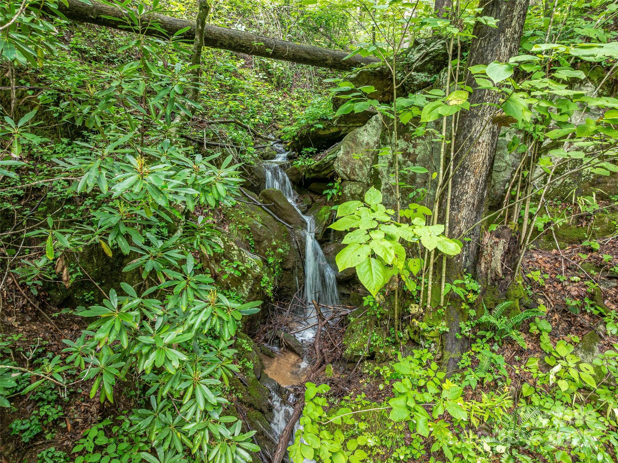 Cedar Creek Farms - Residential
