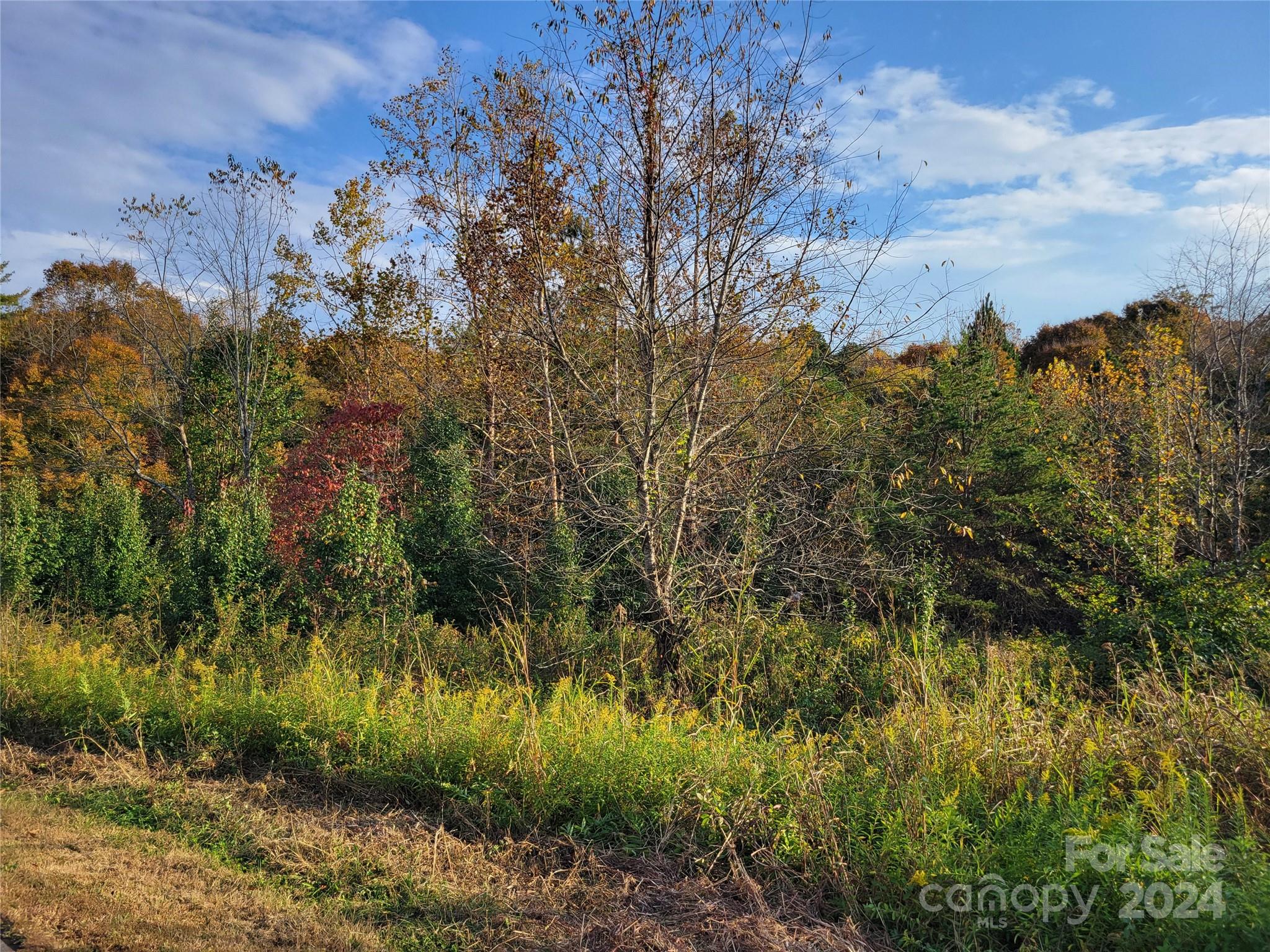 Sunset Meadows - Land