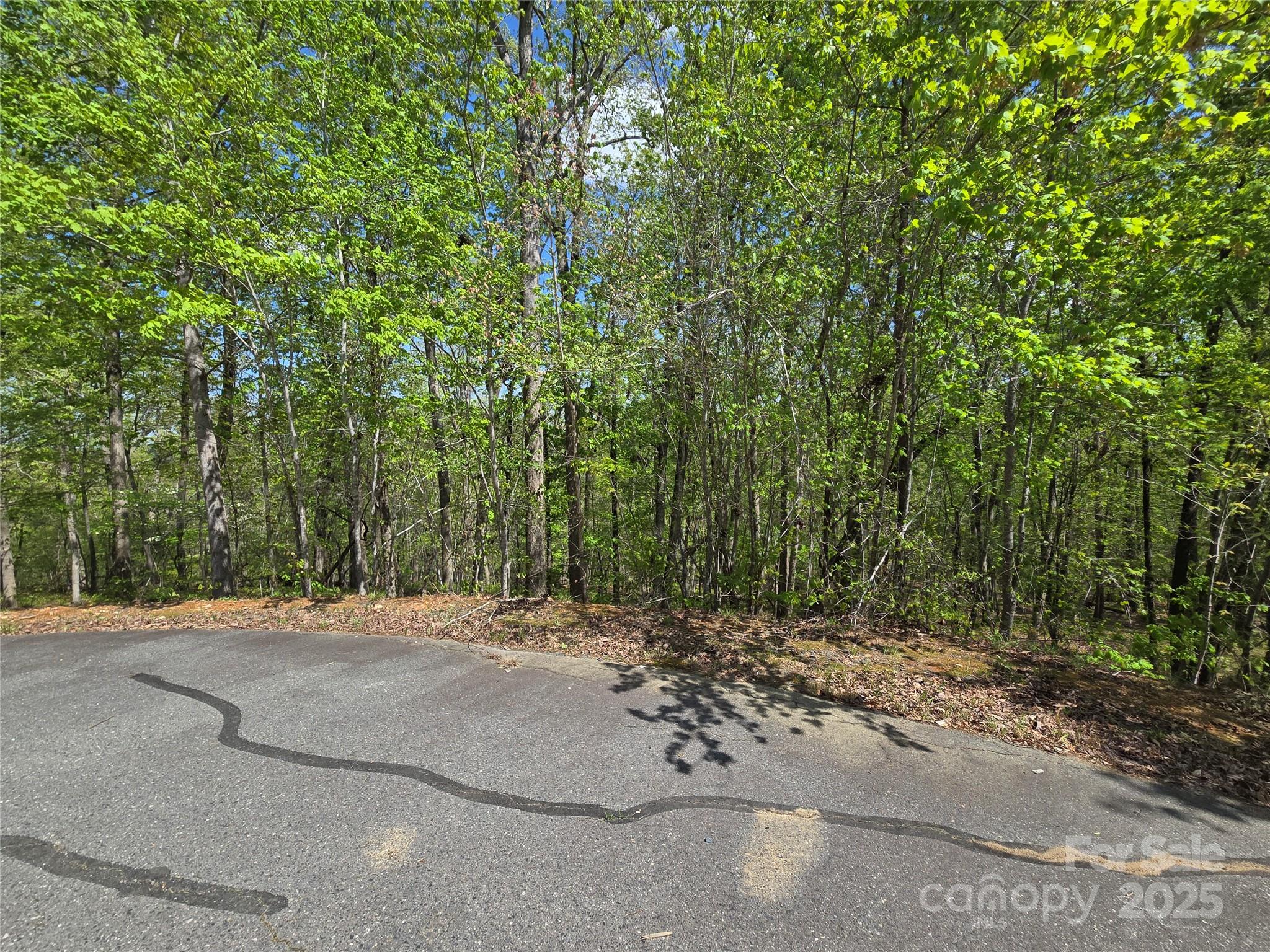 Woodland Estates - Land