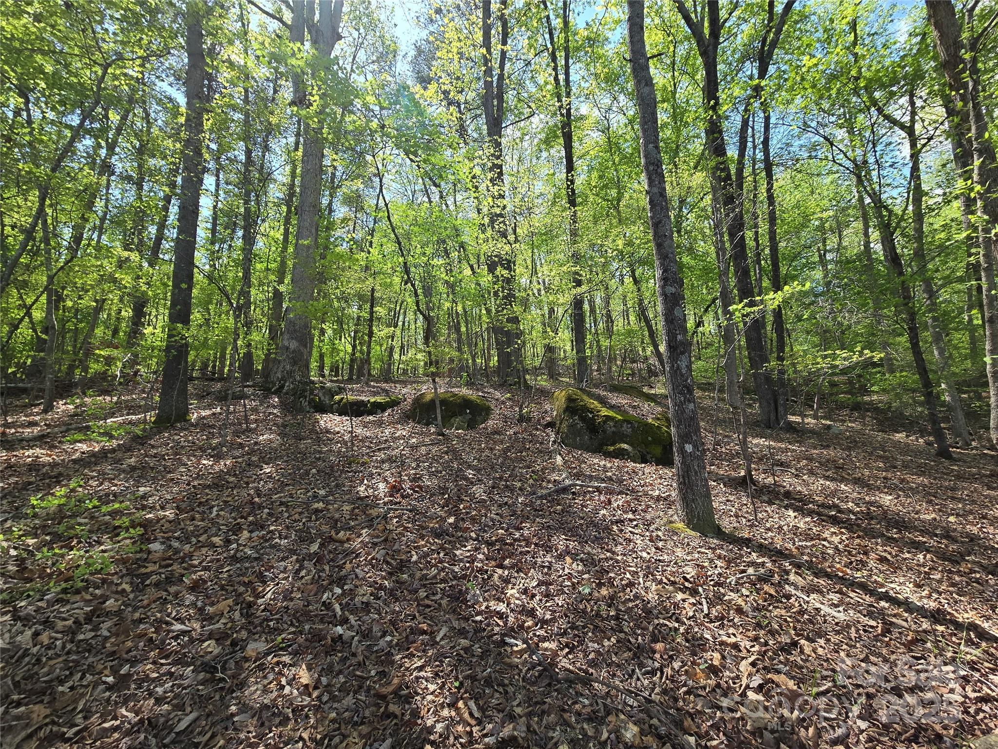 Woodland Estates - Land