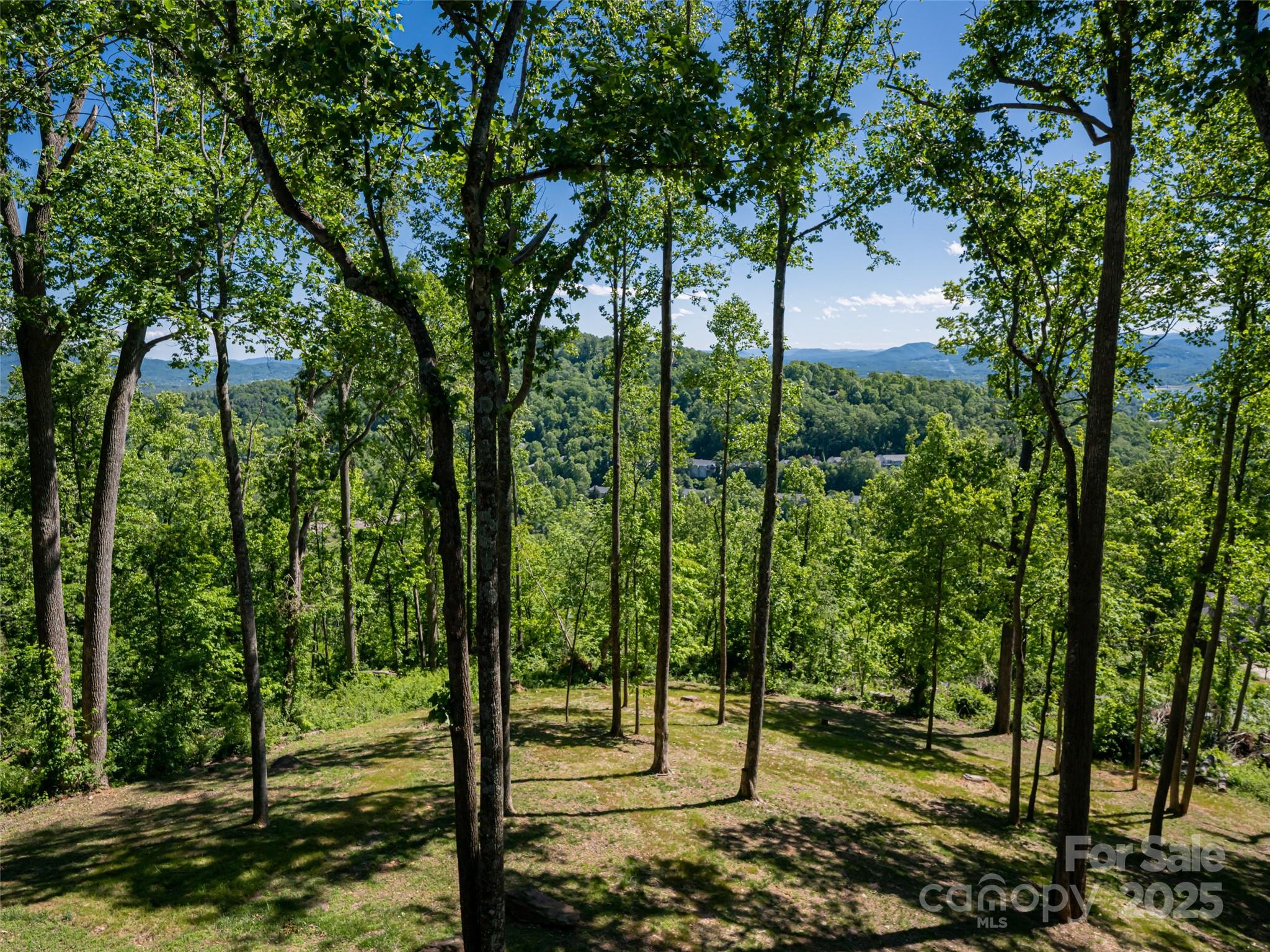 Pinchot Forest - Residential