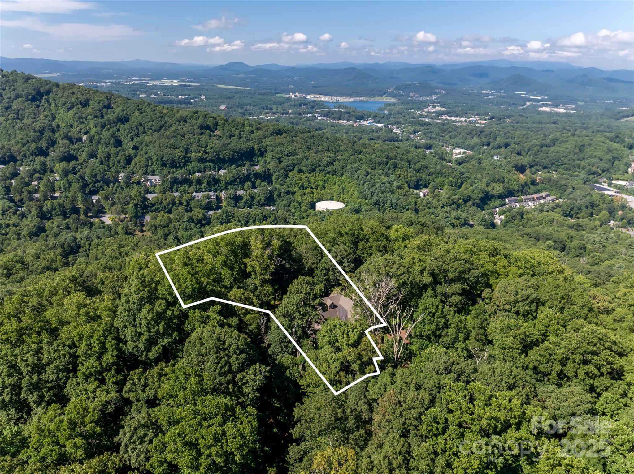 Pinchot Forest - Residential