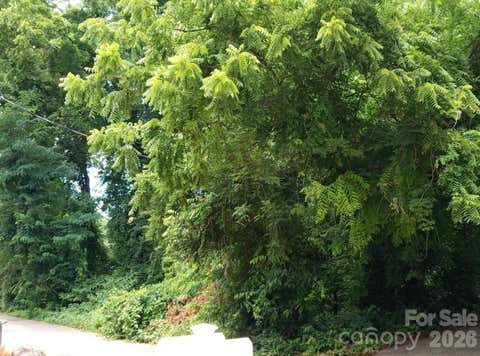 Photo of 000 Ann Drive #170, Belmont, NC 28012 (MLS # 4395429)