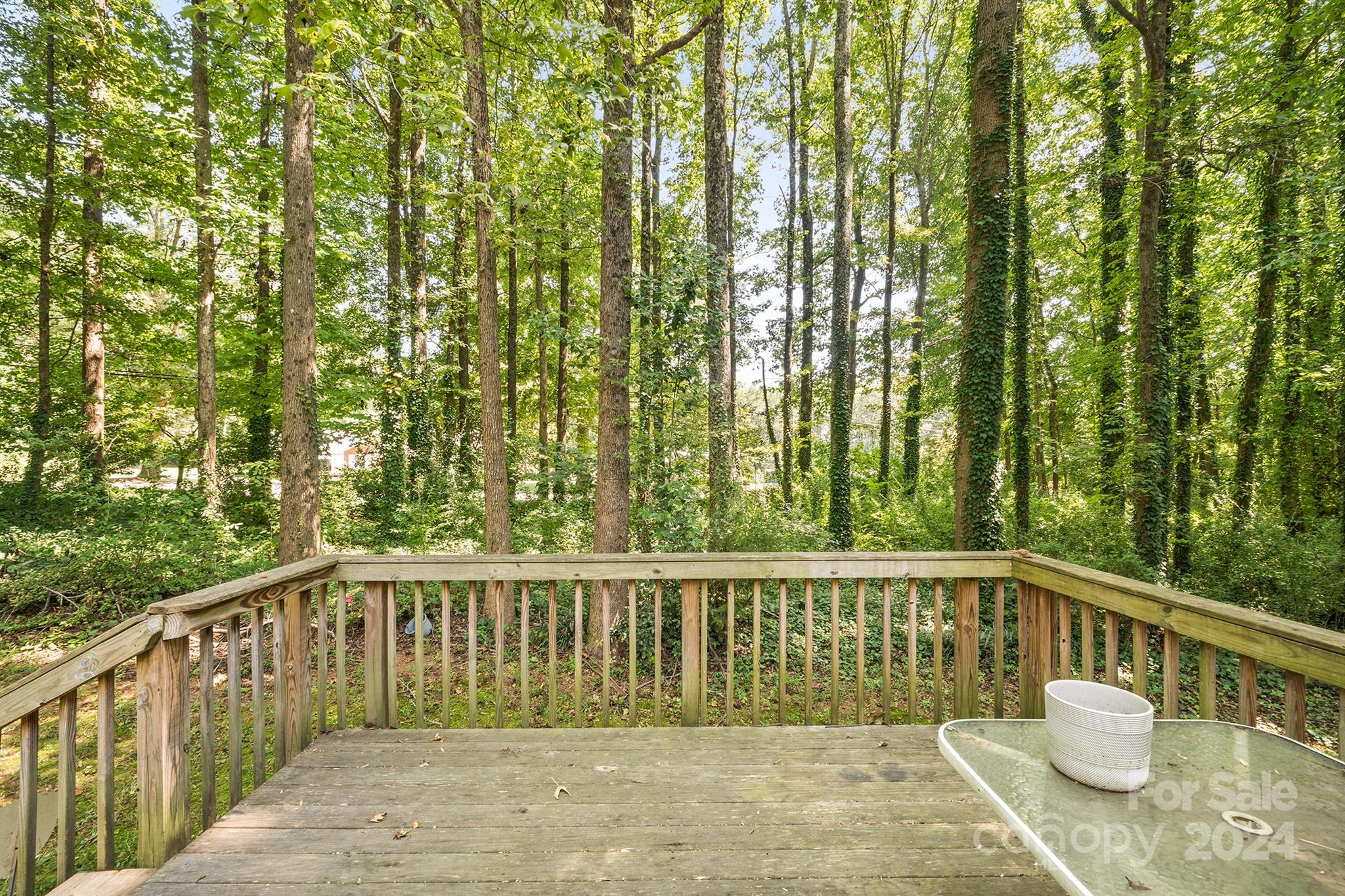 Candlelight Forest - Residential