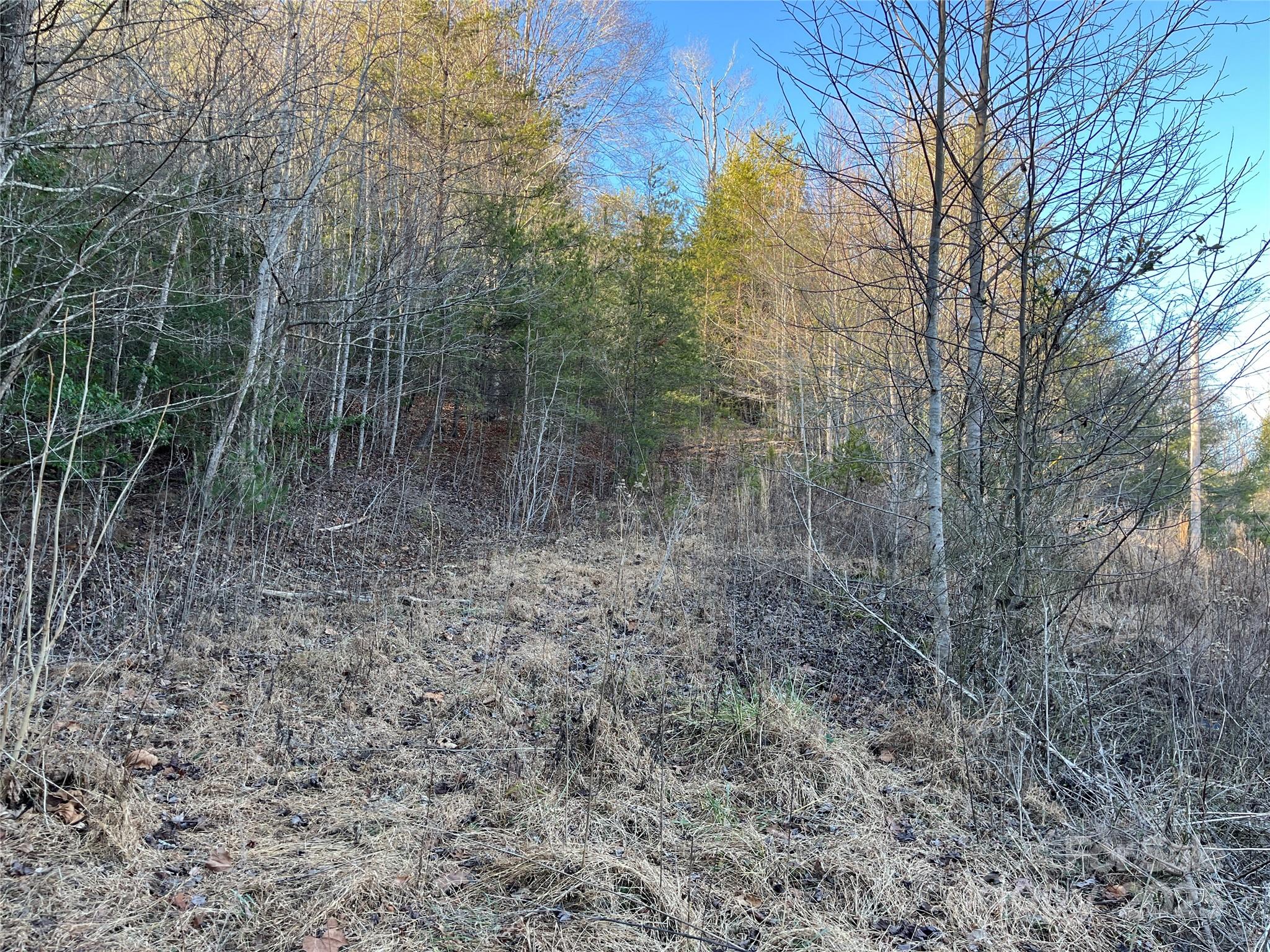 6588 Rich Mountain Road