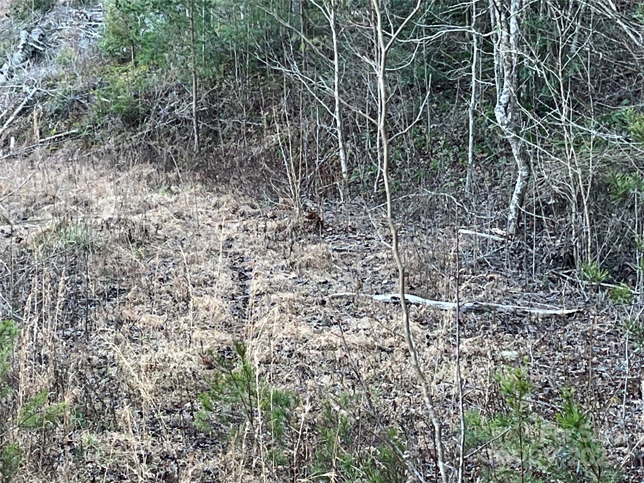 6588 Rich Mountain Road