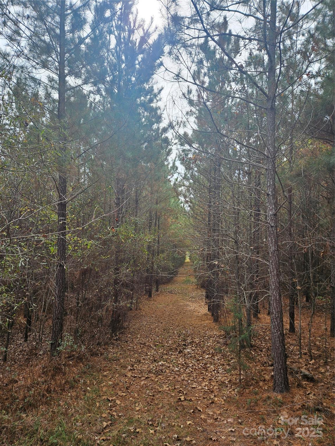 0 Ingold School Road