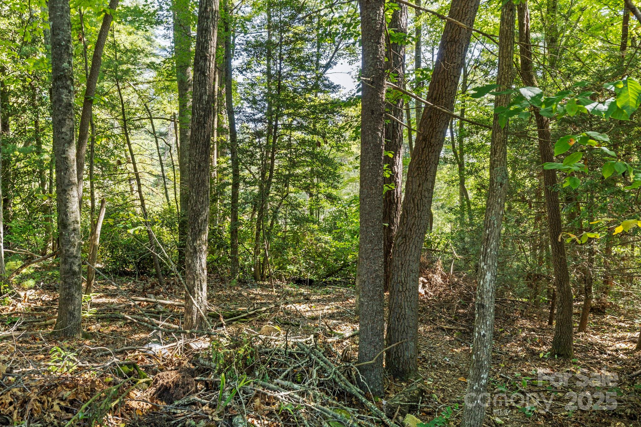 Greenbrier - Residential