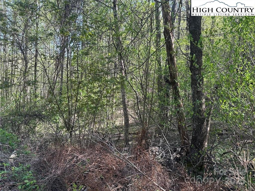 TBD Quail Hollow Drive 27