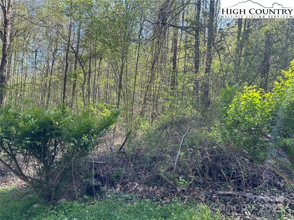 TBD Quail Hollow Drive 27