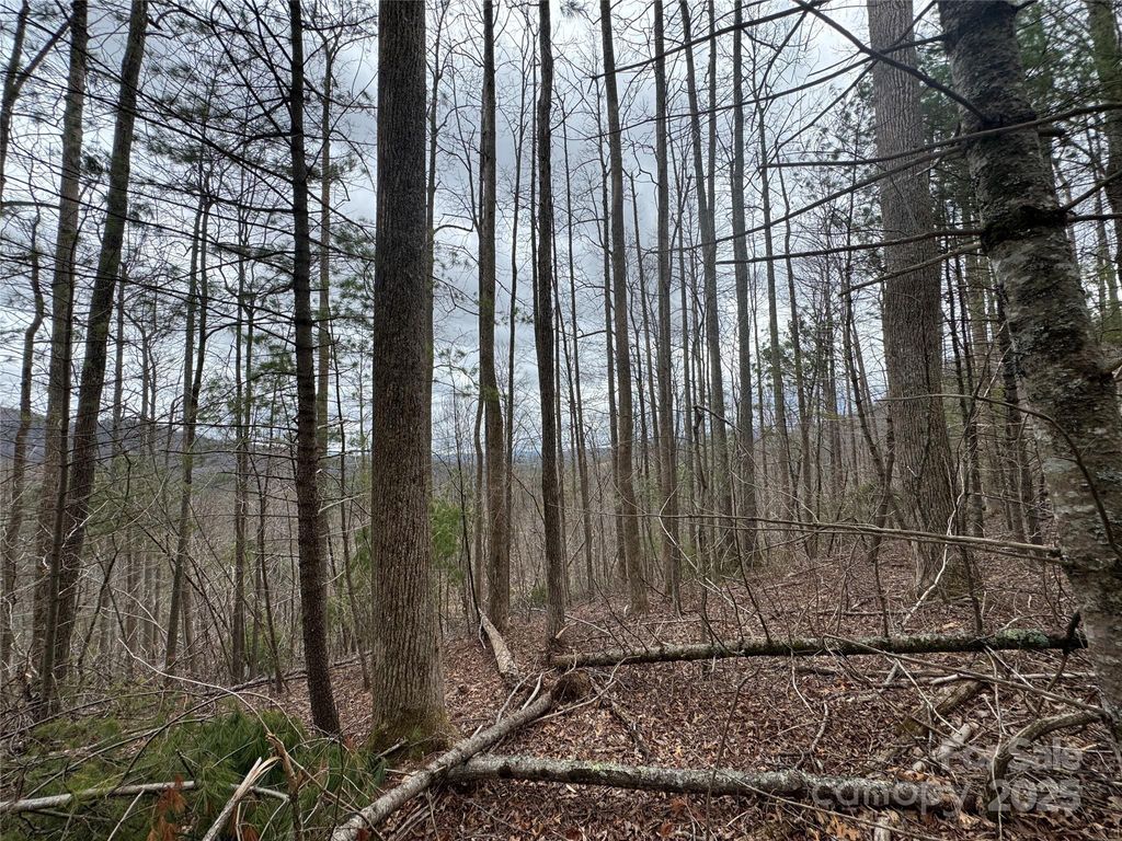 listing image 38