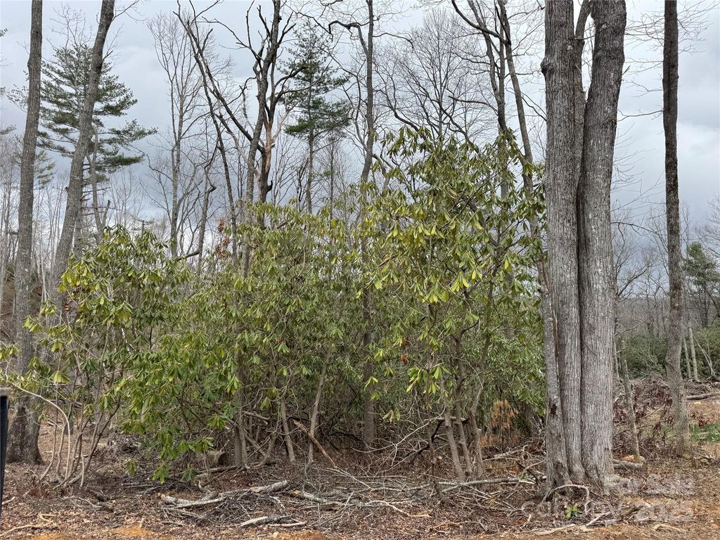 listing image 41