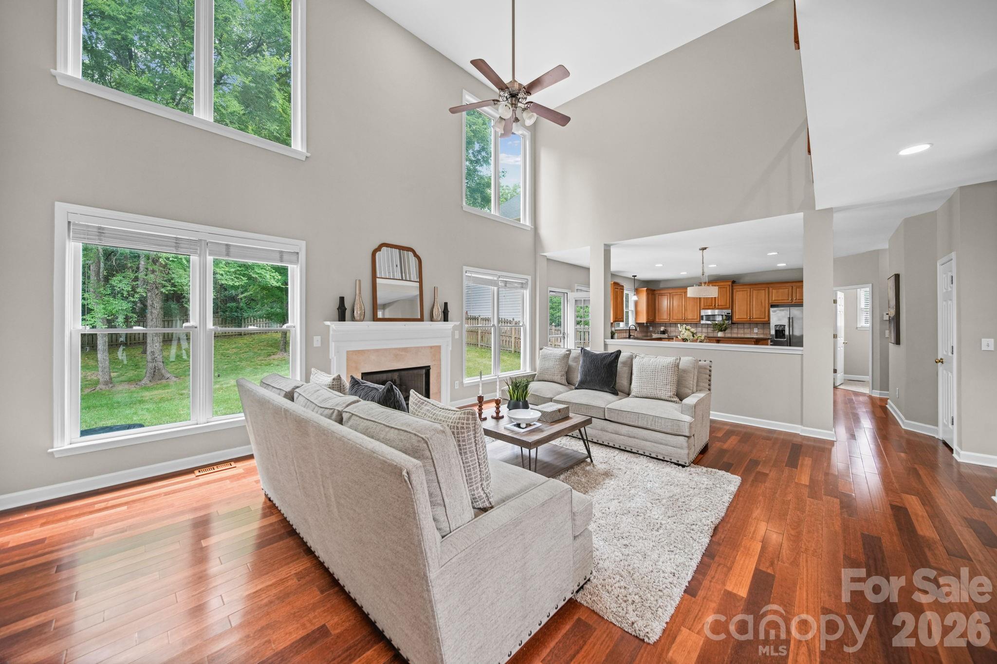 13818 Ballantyne Meadows Drive