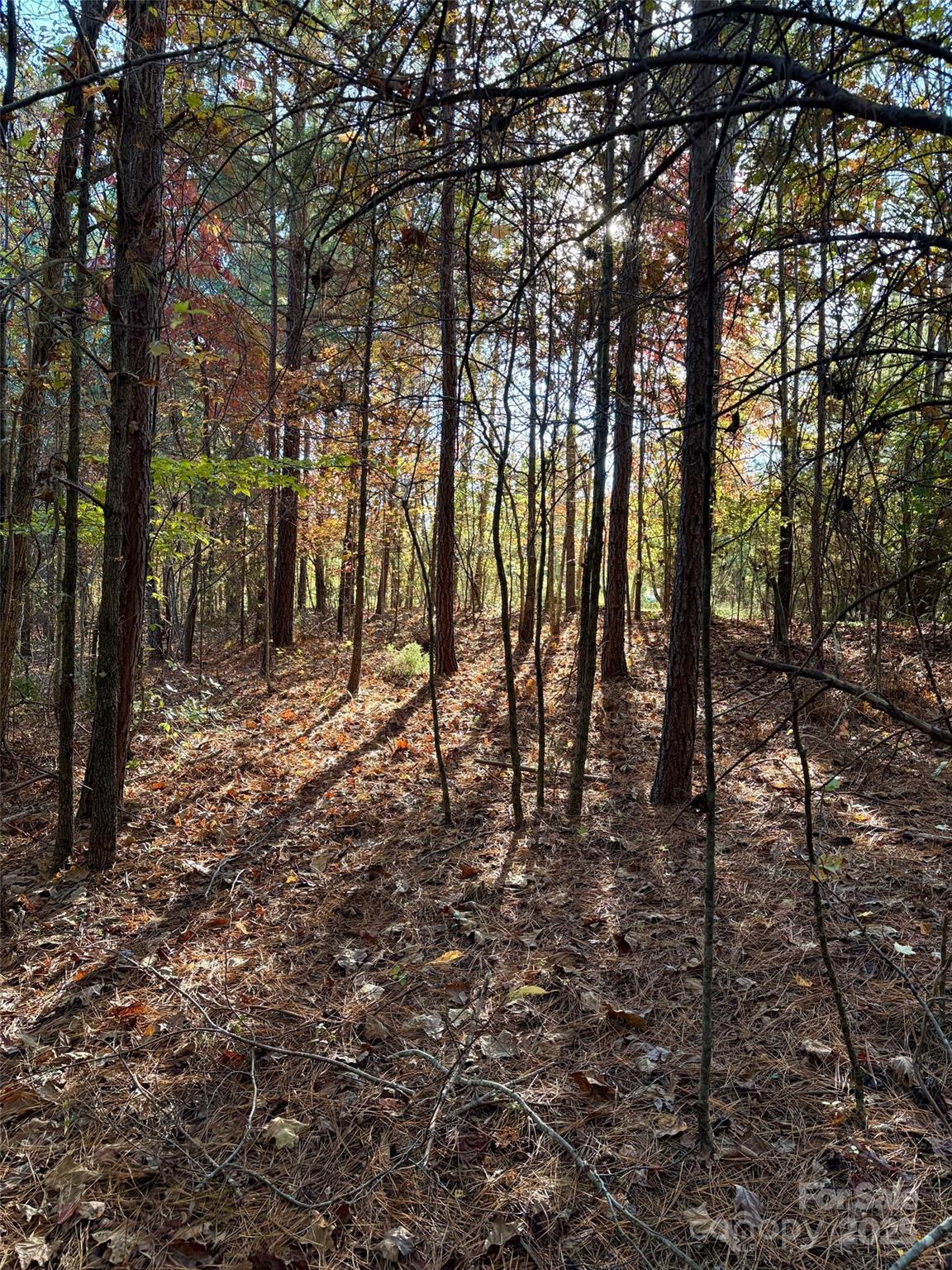 0 Cross Creek Drive 261