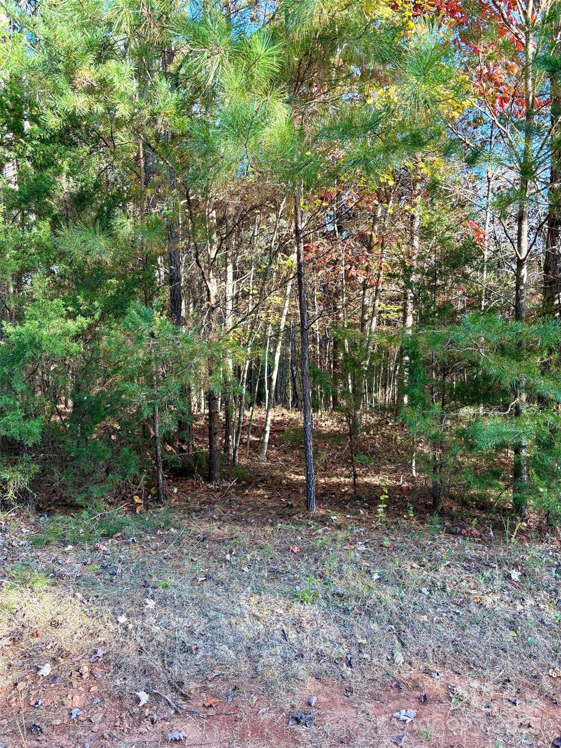 0 Cross Creek Drive 261