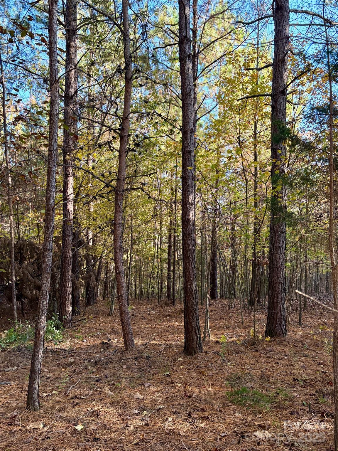 0 Cross Creek Drive 261