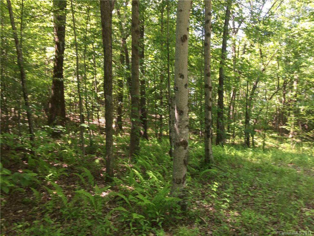 Indian Camp Mountain - Land