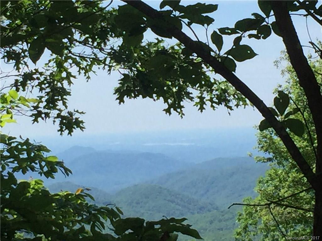 Indian Camp Mountain - Land