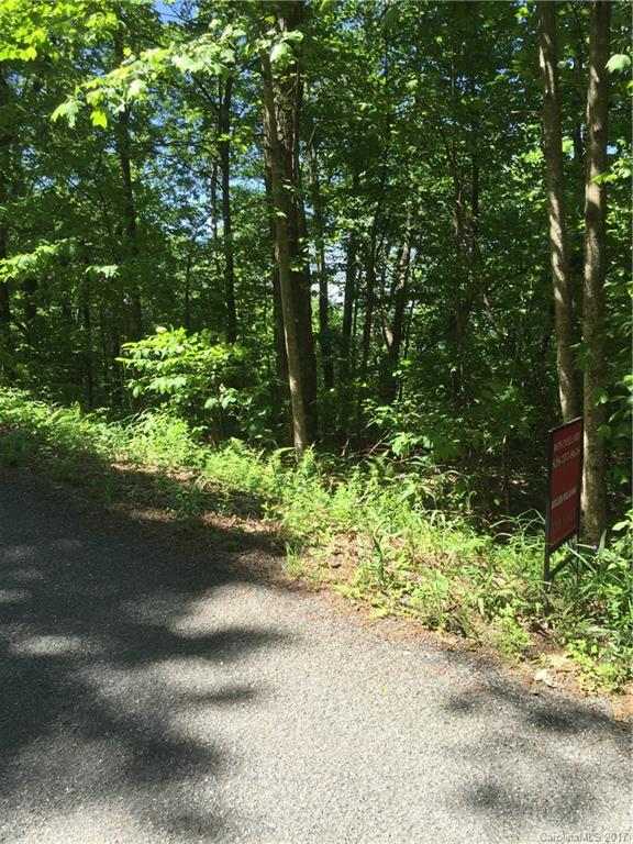 Indian Camp Mountain - Land