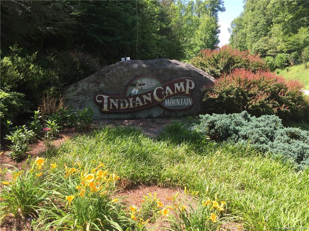 Indian Camp Mountain - Land