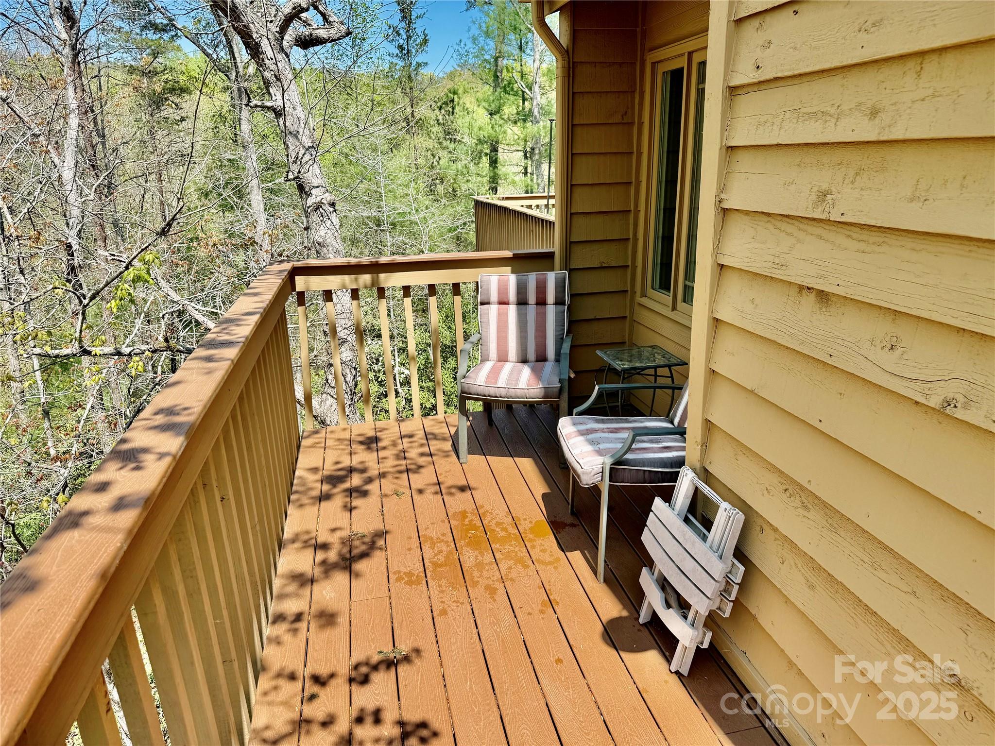 Rumbling Bald on Lake Lure - Residential