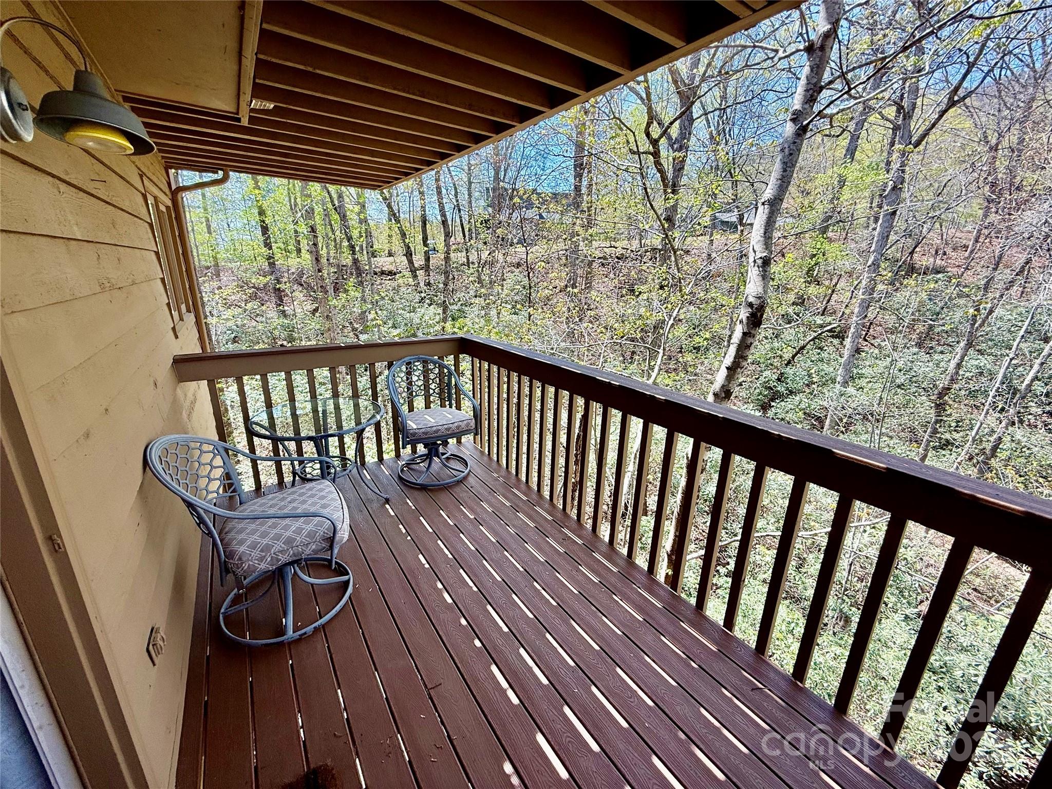 Rumbling Bald on Lake Lure - Residential