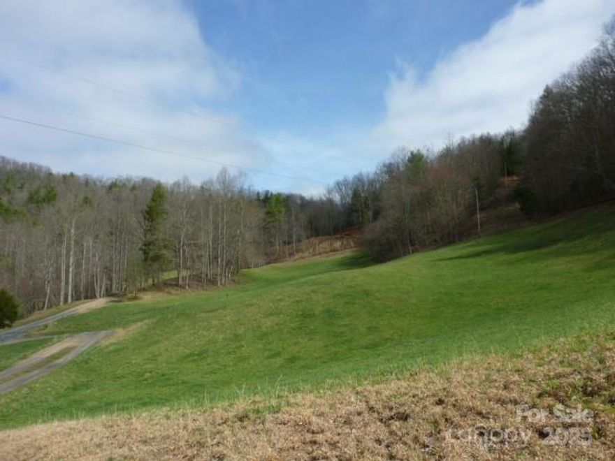Every once in a while, there is a property that has it all without having to buy lots of acreage in order to have it all.
This 11 plus acres is one such property.  There is pasture, a stream, beautiful pastoral views and mountain views. wooded areas and a captured spring suitable for livestock.  There is also a 3 BR septic construction permit on file. This property will be cut out of a larger tract.  There are some light deed restrictions but no HOA.  Building site is ready for your finishing touches according to where and what you want to build on the site.  Gravel road already in place to access the property.