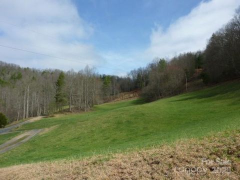 tbd Joe tweed Road Marshall NC 28753