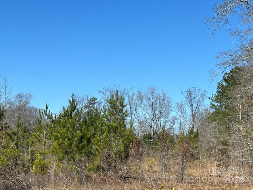Unrestricted lot with a beautiful homesite just east of Kershaw SC about 5 minutes on Buffalo Creek Road.  Natural regrowth after clearcut logging about 9-10 years ago and rotten stumps should make clearing easy.  Sandy soils should be great for septic systems.  Nice shaped lot with good dirt road frontage and level to build on. Private lot backing up to a creek with larger properties around it. Parcel 7 on subdivision plat in pictures.