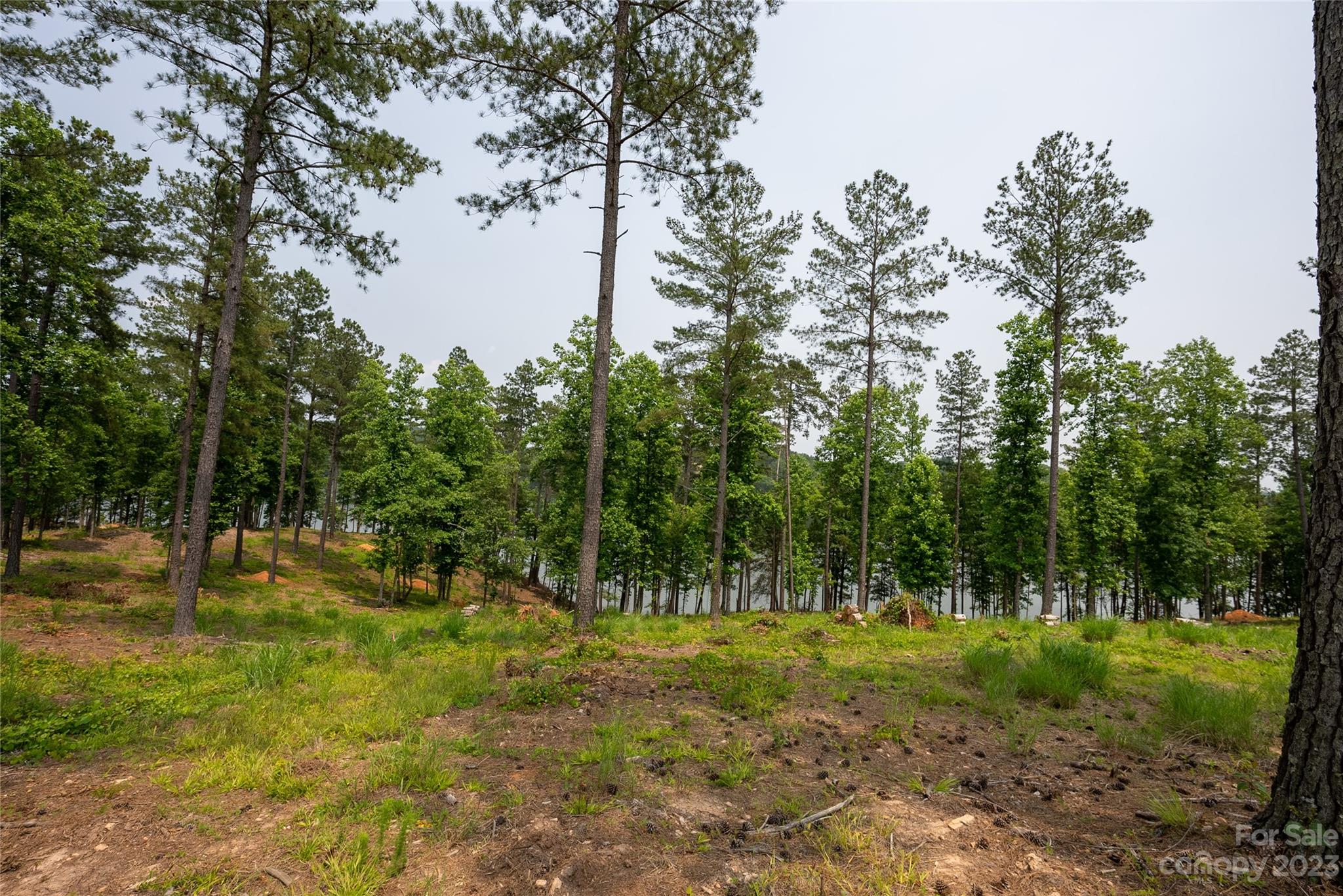 Lakeside Reserve - Land