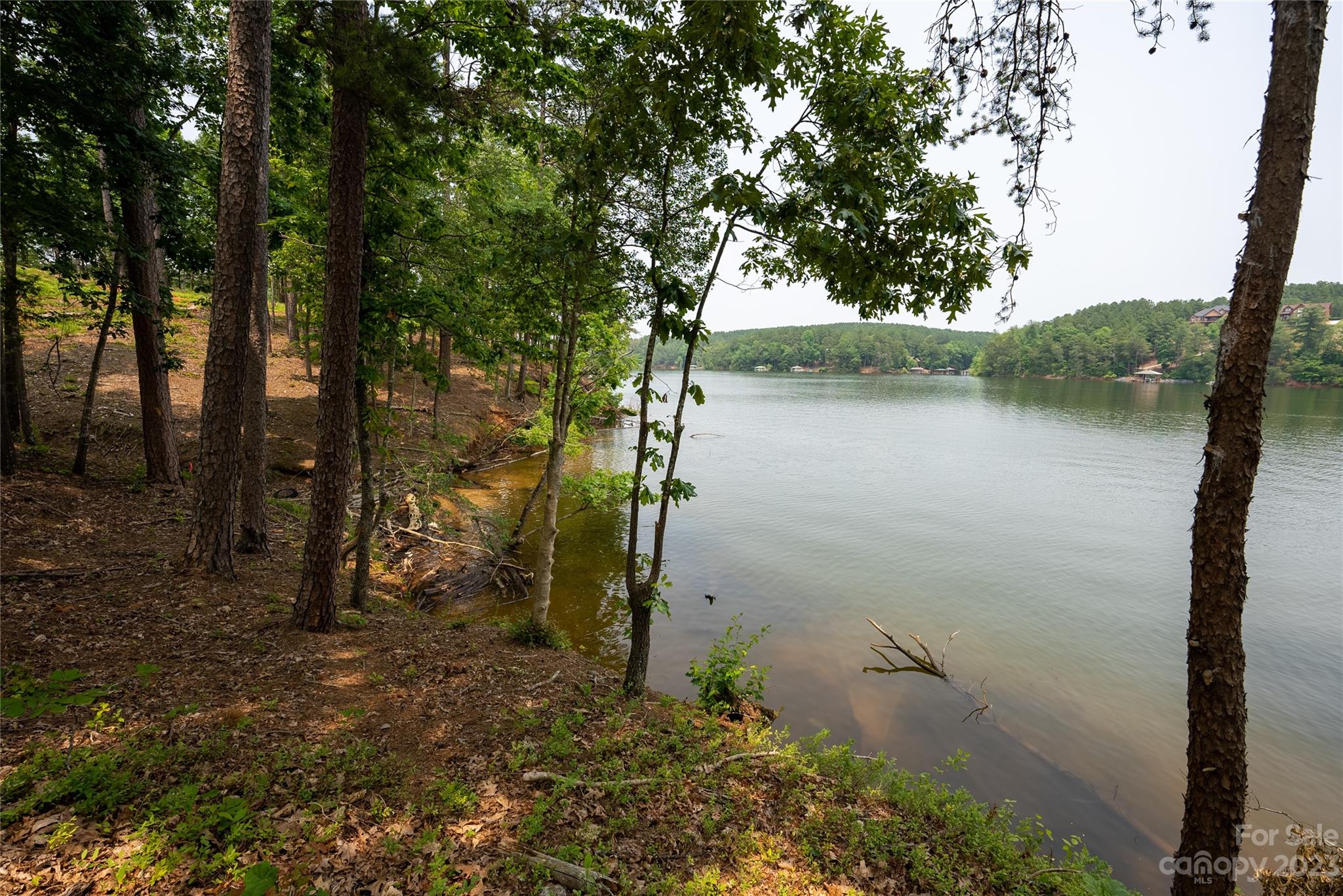 Lakeside Reserve - Land