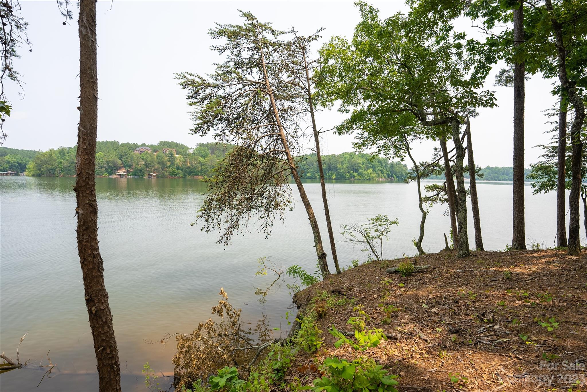 Lakeside Reserve - Land